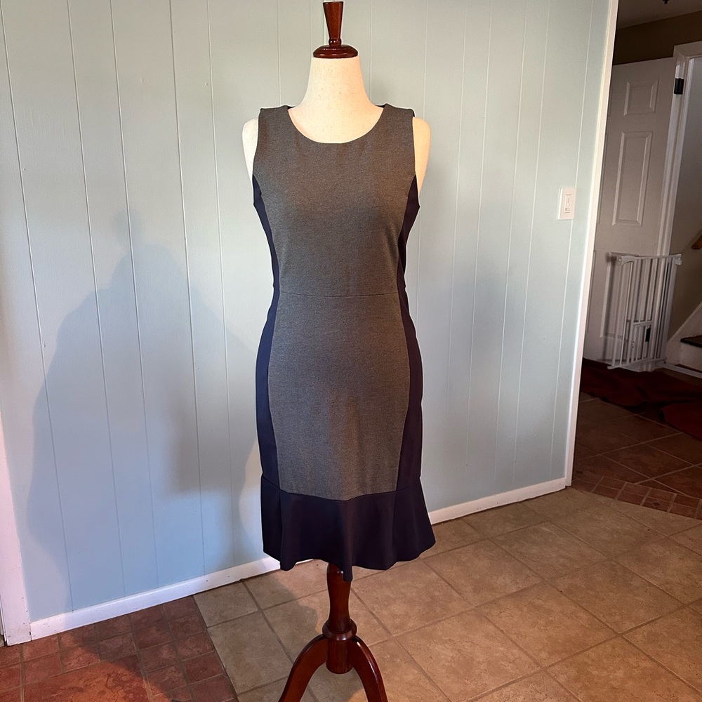 Elegant Two-Tone Fit and Flare Sleeveless Dress